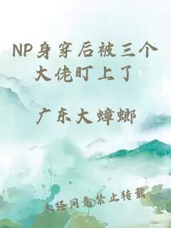 NP身穿后被三个大佬盯上了