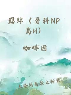 羁绊（骨科NP 高H）