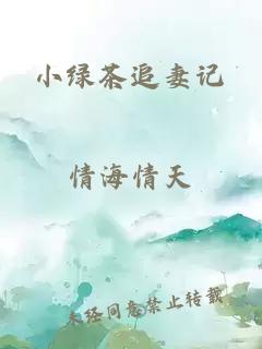 小绿茶追妻记