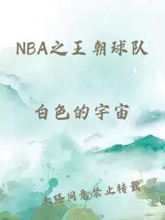 NBA之王朝球队