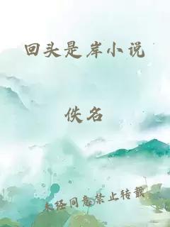 回头是岸小说