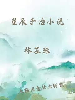 星辰于治小说