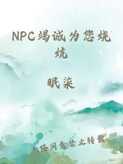 NPC竭诚为您烧炕