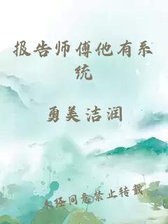 报告师傅他有系统