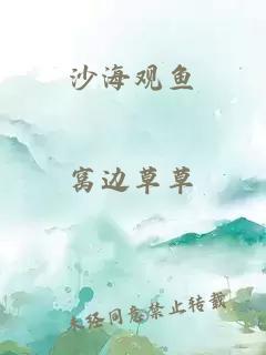 沙海观鱼