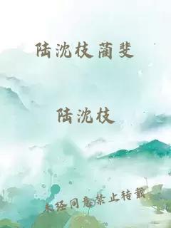 陆沈枝蔺斐