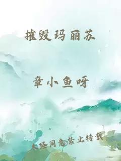 摧毁玛丽苏