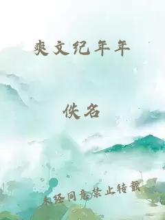 爽文纪年年