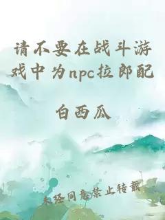 请不要在战斗游戏中为npc拉郎配